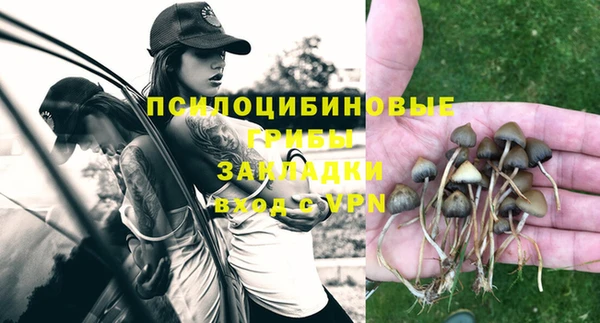 ПСИЛОЦИБИНОВЫЕ ГРИБЫ Абдулино