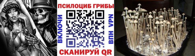 Галлюциногенные грибы мицелий Серпухов
