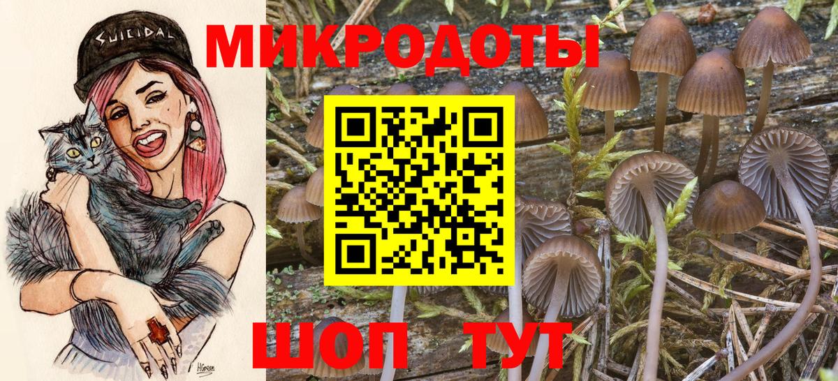 Галлюциногенные грибы мицелий  Вход с VPN  Серпухов 