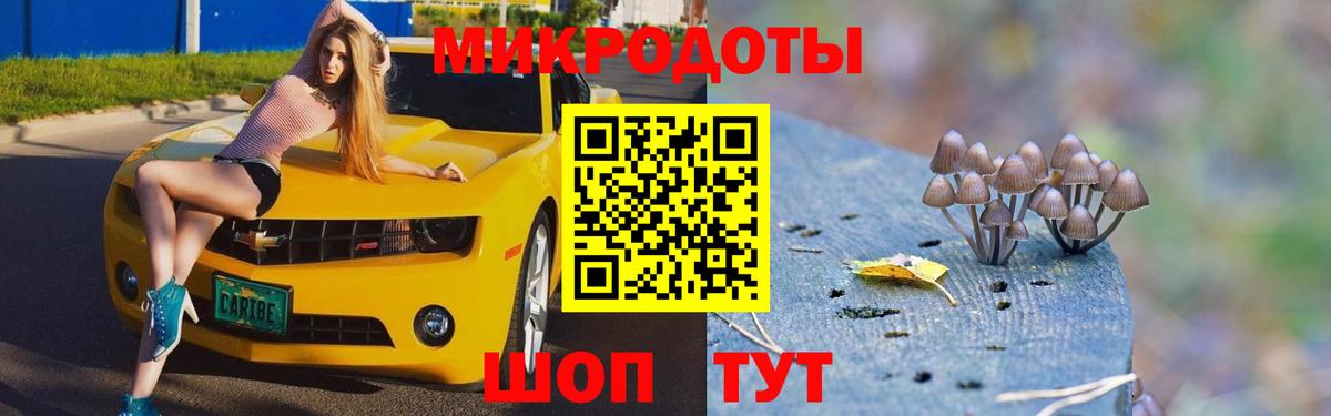 Псилоцибиновые грибы GOLDEN TEACHER Серпухов